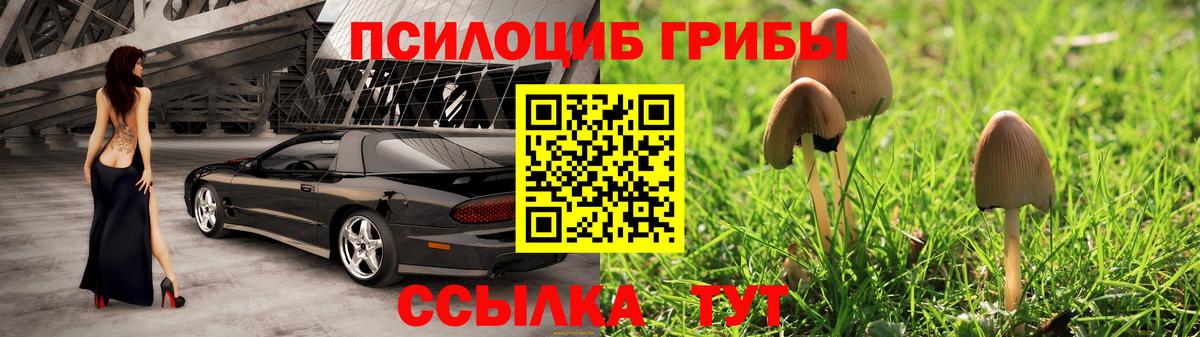 Галлюциногенные грибы Magic Shrooms  Вход с VPN  Галлюциногенные грибы Psilocybine cubensis  Железногорск 